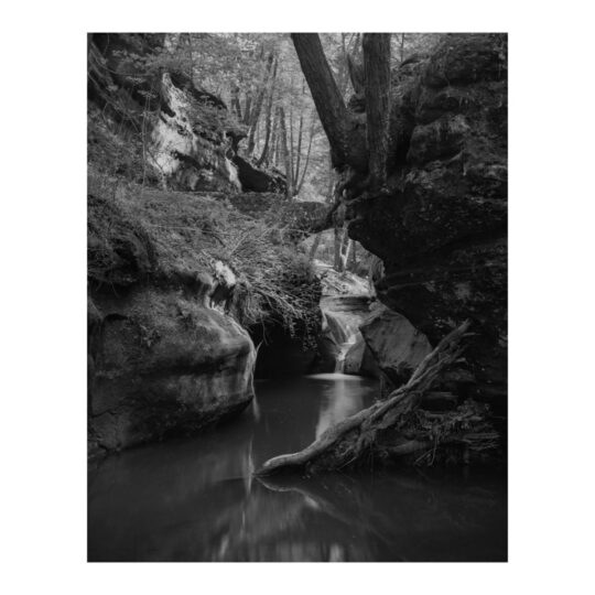 Ilford Pan F Plus 4×5″ Vlakfilm / 25 sheets – ISO 50 - Afbeelding 3