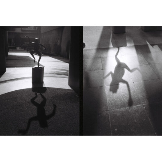 Lomography Half-Frame Simple Use Reloadable Film Camera - Black & White 400 - Afbeelding 11