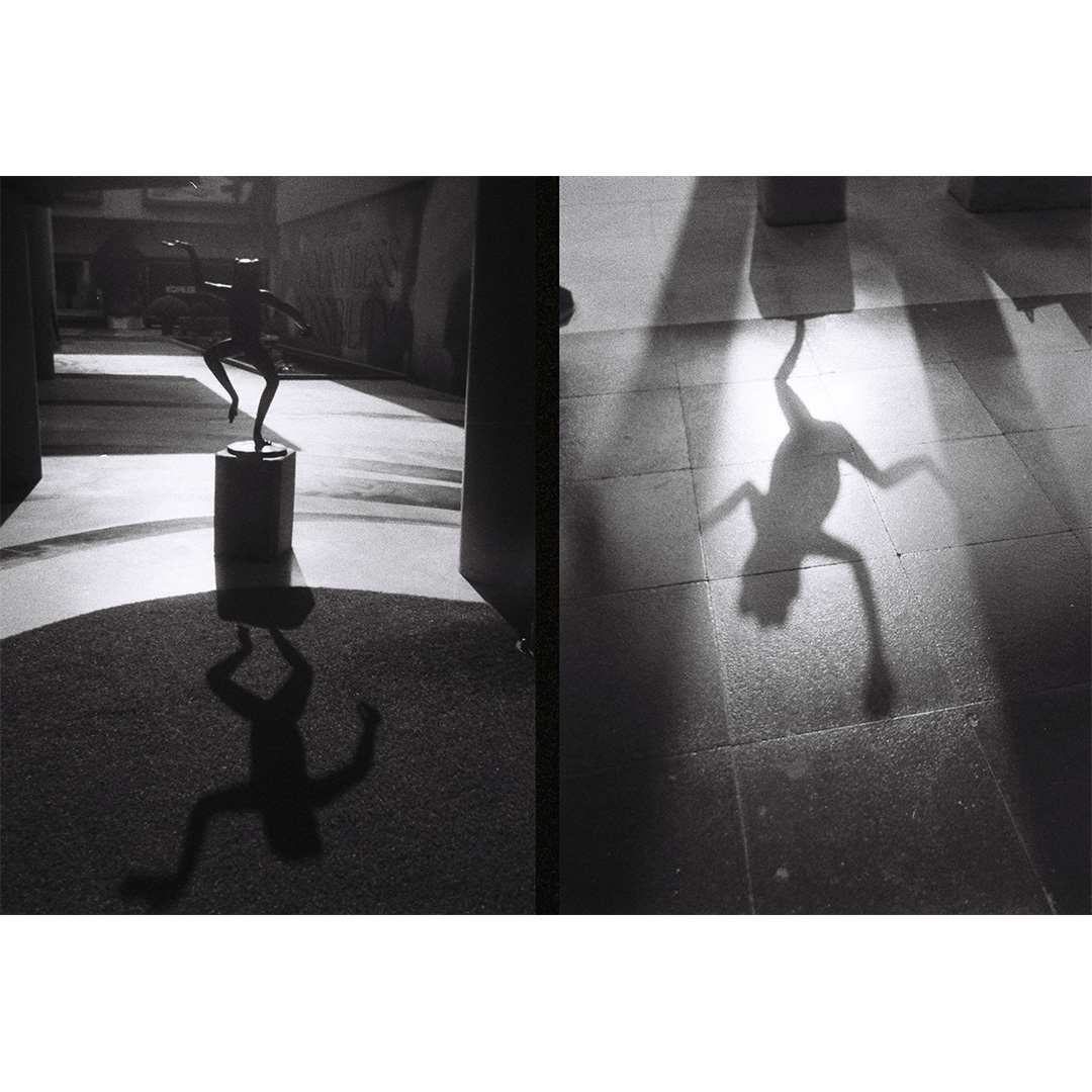Lomography Half-Frame Simple Use Reloadable Film Camera - Black & White 400 - Afbeelding 11