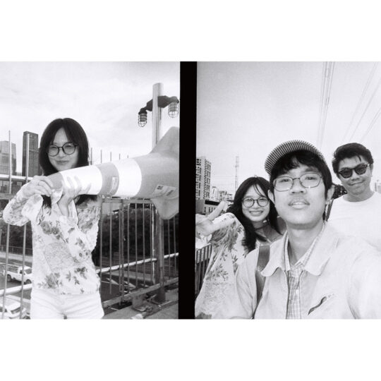 Lomography Half-Frame Simple Use Reloadable Film Camera - Black & White 400 - Afbeelding 8