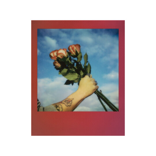 Polaroid Go Color Film Double Pack - Gradient Frame - Afbeelding 4