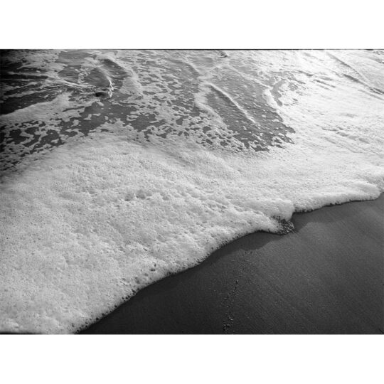 Kodak Tri-X 400 - Rolfilm 120 - 5 pak - Afbeelding 4